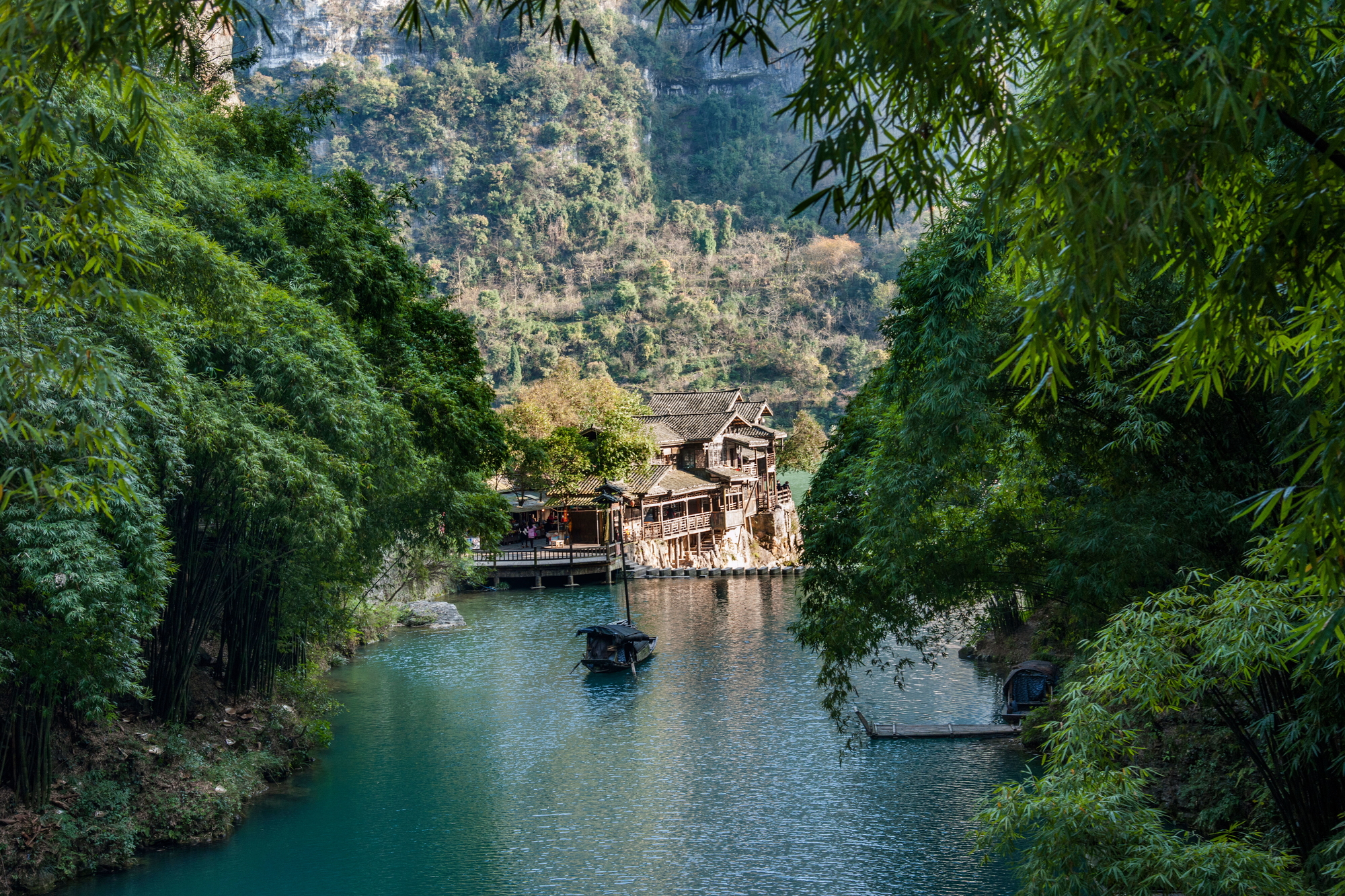 “红色蒲公英”飞入山河深处